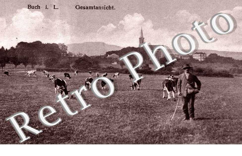 Gesamtansicht