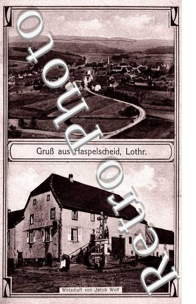 Wirtschaft von Jacob Wolf