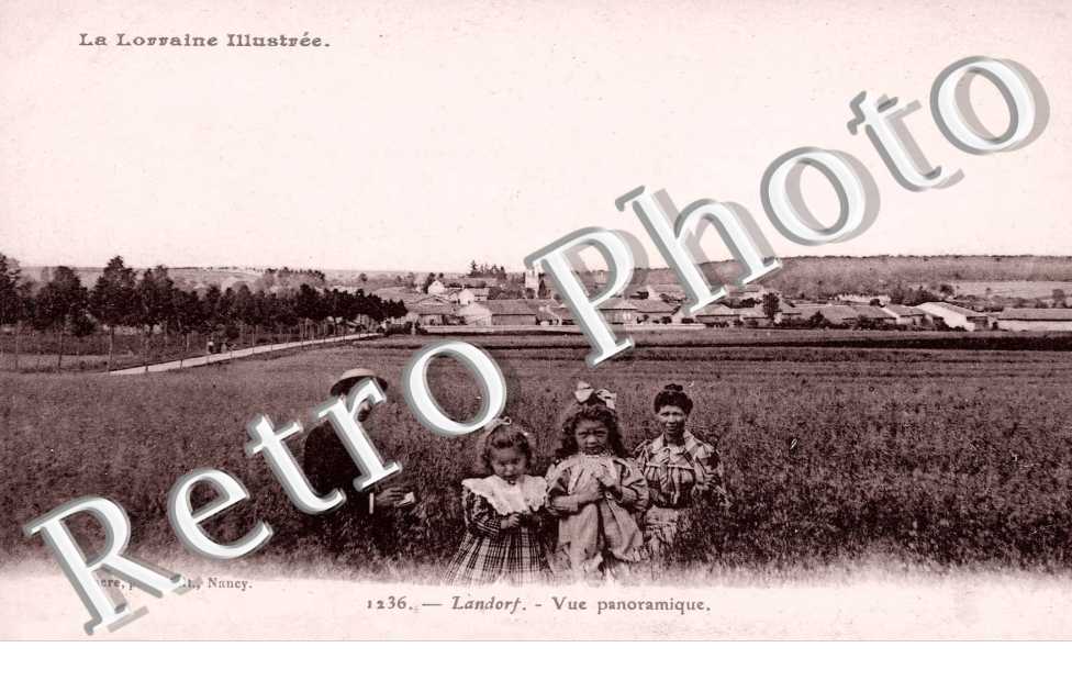 Vue panoramique