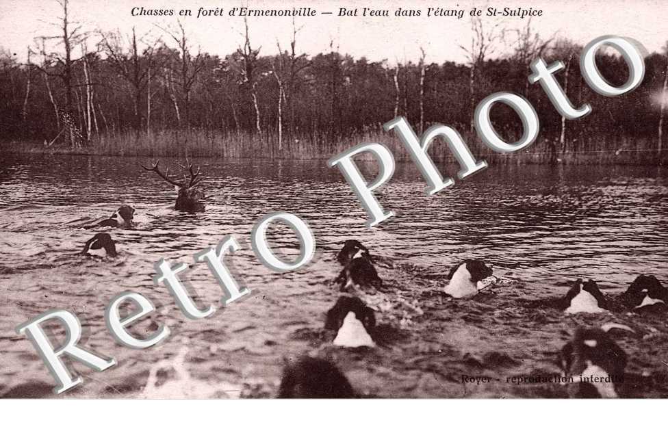 chasses en foret d' Ermenonville, bat l' eau dans l' etang de St-Sulpice