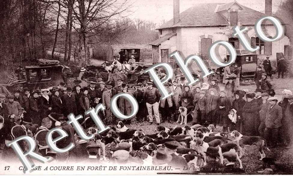 Chasse a courre en foret