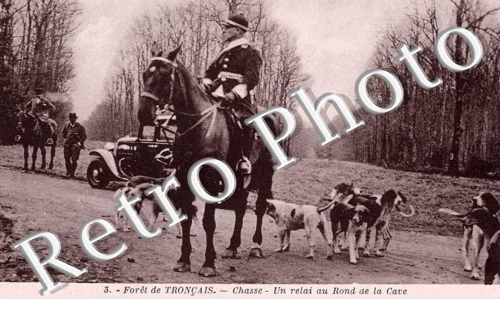 chasse, un relias au rond de la cave
