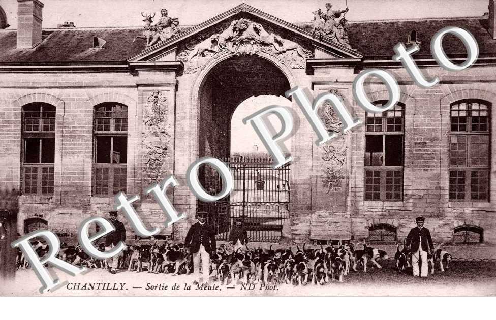 Sortie de la meute