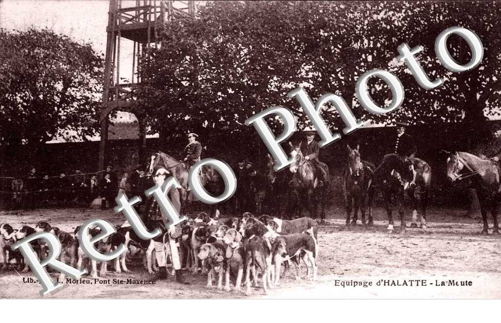 Equipage d' halatte, la meute