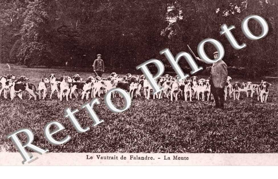 Le Vautrait de Falandre - La Meute