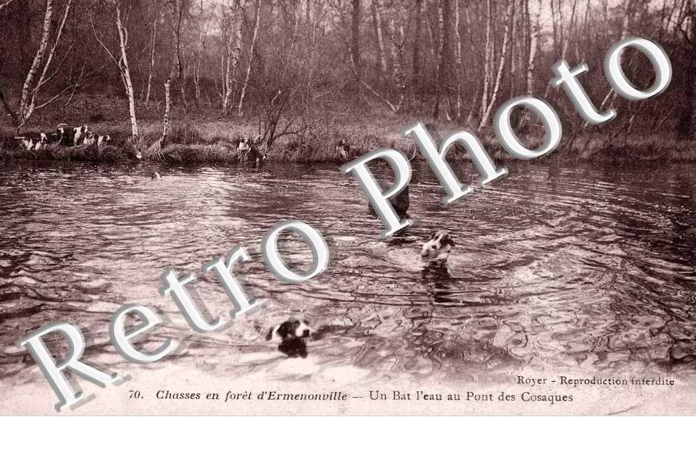 chasses en foret d' Ermenonville