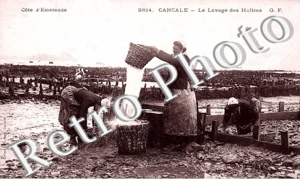 le lavage des huitres