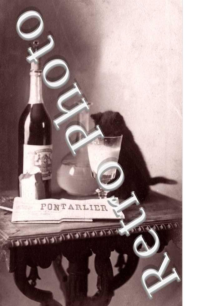 PERNOD une bouteille de Pernod et un chat