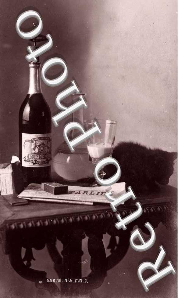 PERNOD une bouteille de Pernod et un chat