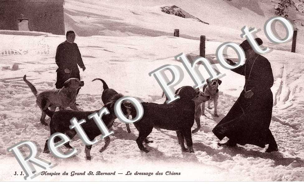 Hospice - Le dressage des chiens