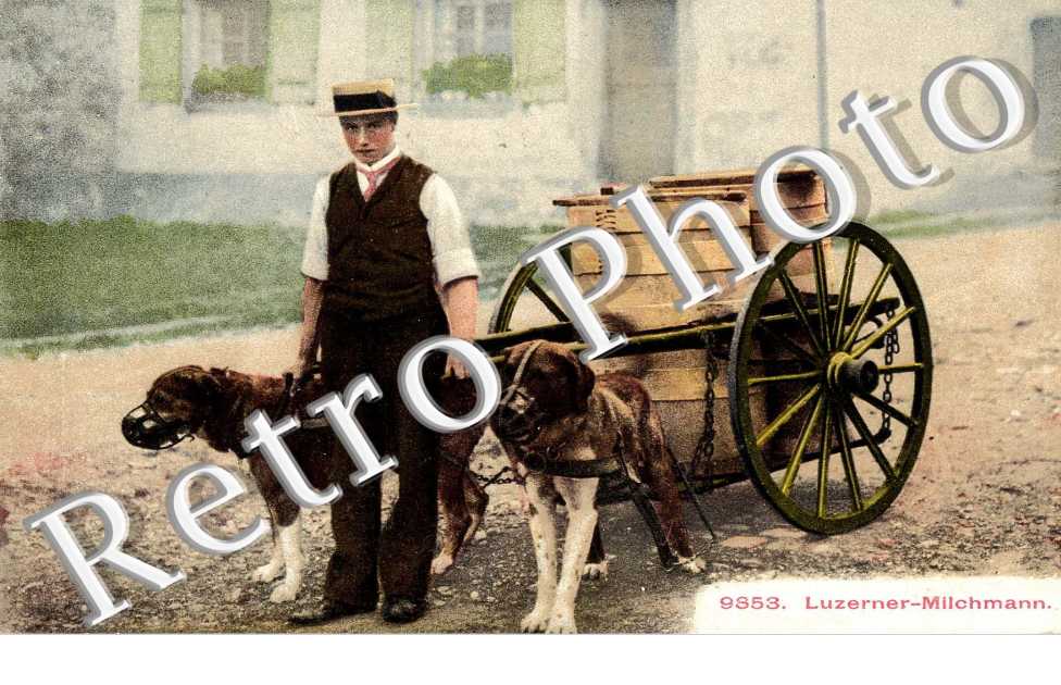Luzerner - Milchmann