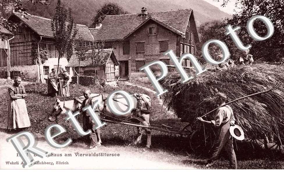 Bauernhaus am Vierwaldstatetersee
