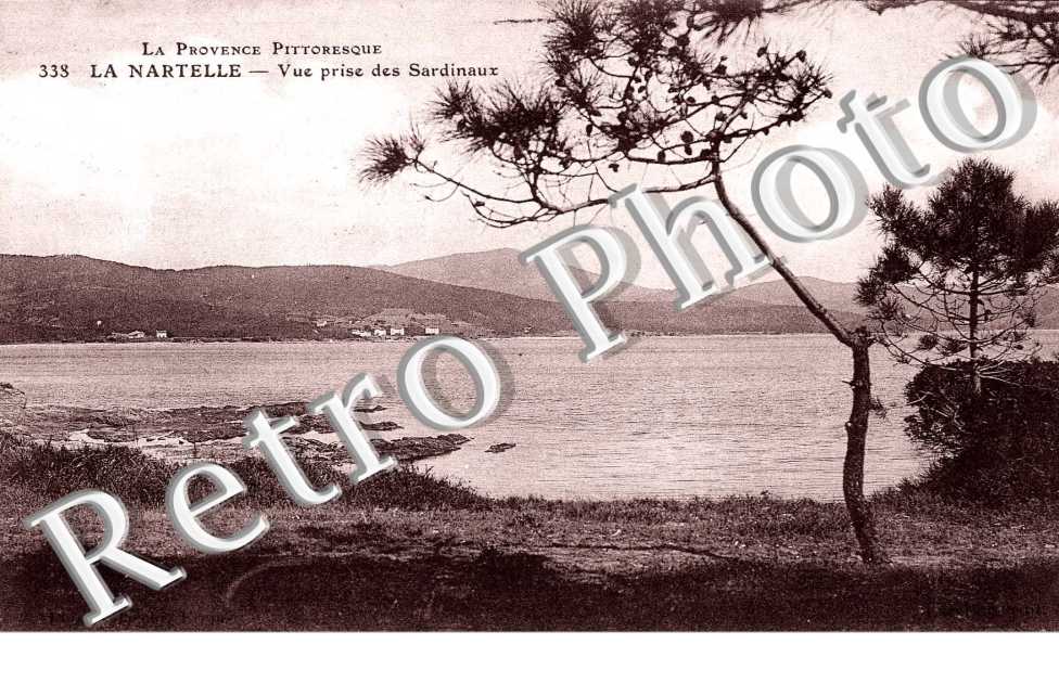 La Nartelle, vue prise des Sardianux