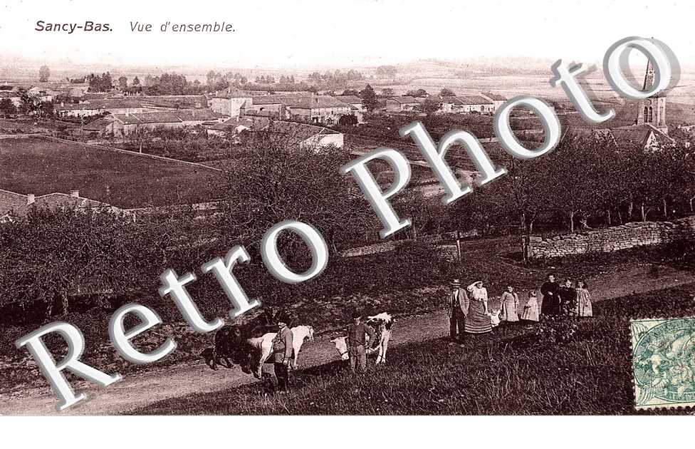 vue d'ensemble
