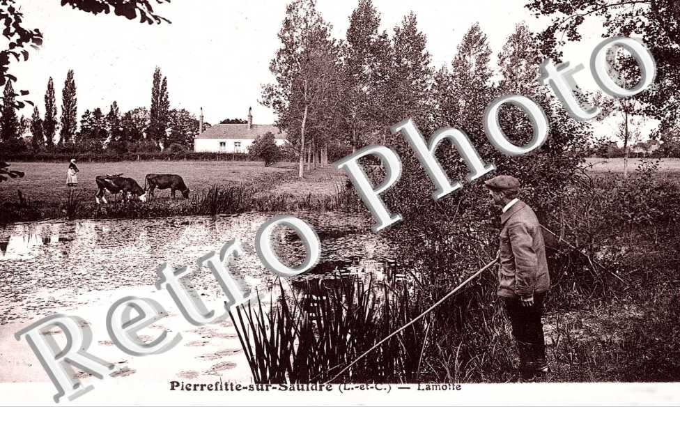 Lamotte