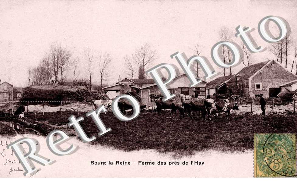 Ferme des pres de l'Hay - elevage
