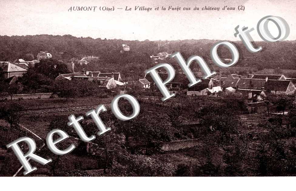 Le village et la foret vus du chateau d'eau