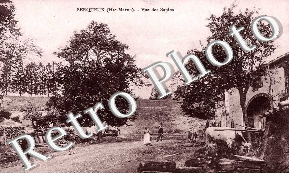 vue des sapins