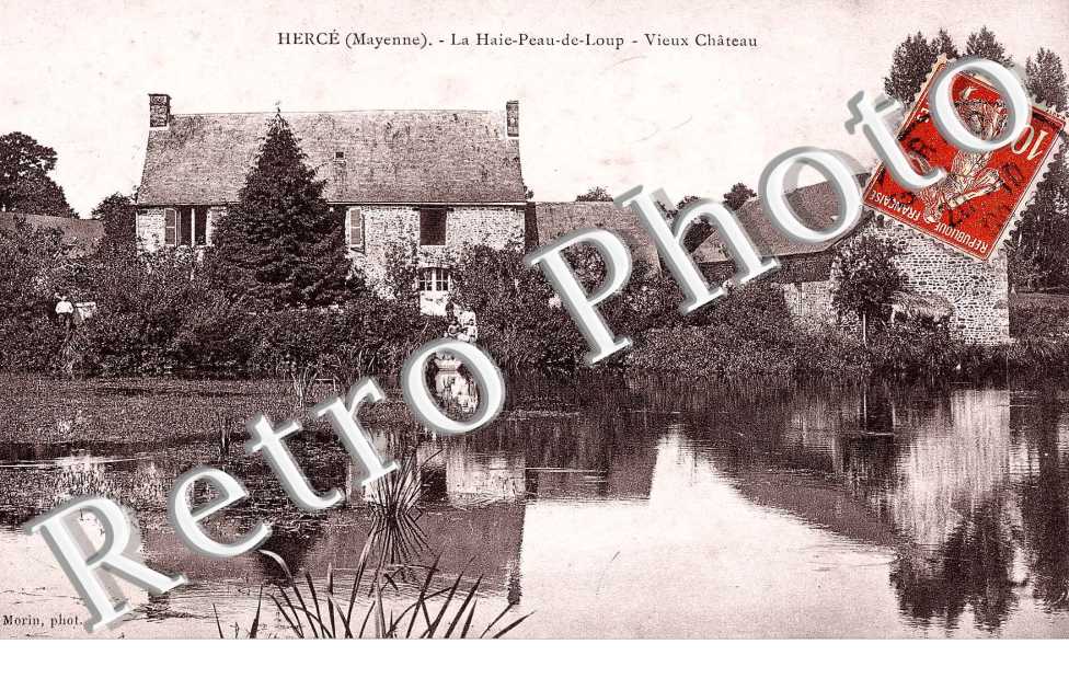 La Haie Peau de Loup - Vieux Château