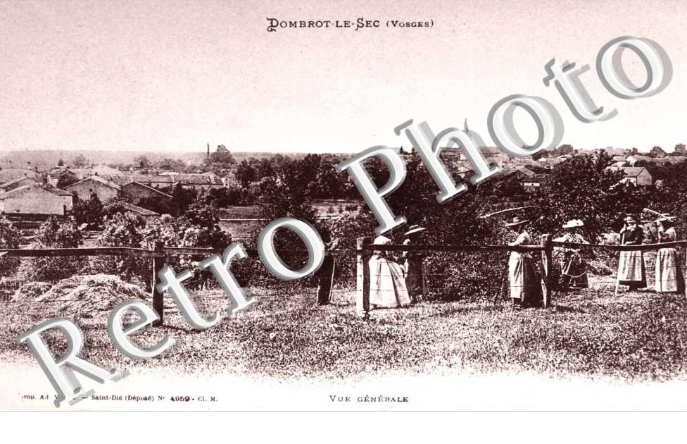 vue generale