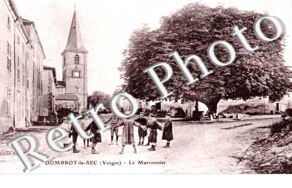 le marronnier