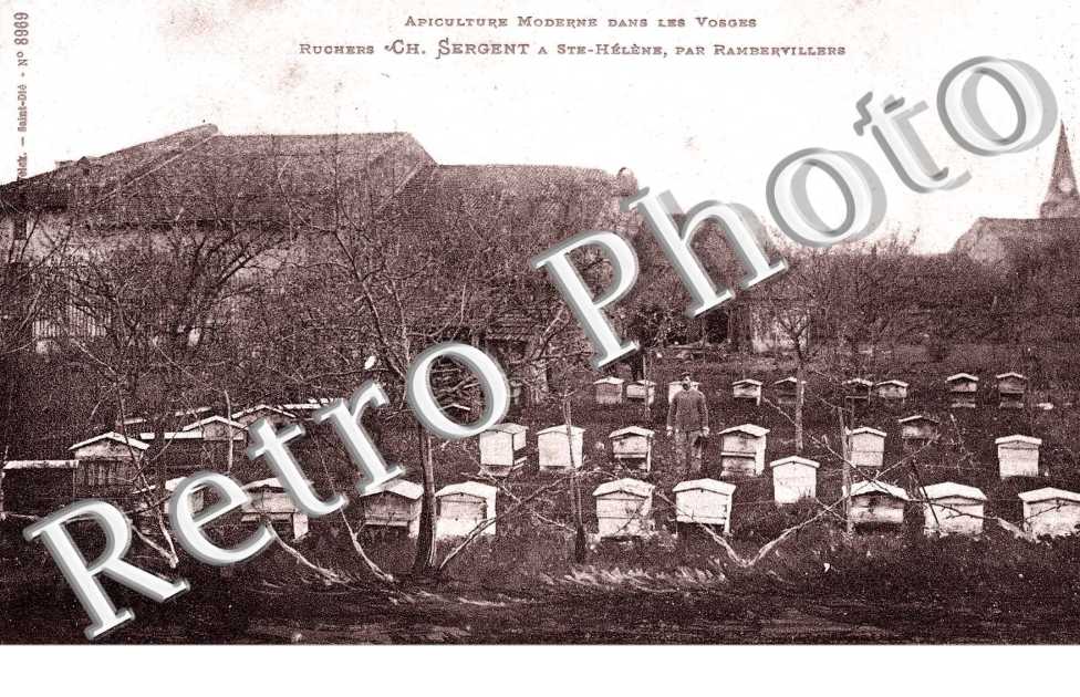 Ruchers CH. Sergent Apiculture Modene