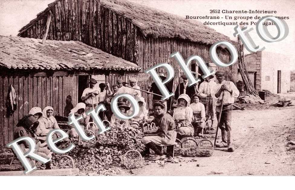 un groupe de pecheuses decortiquant des portugaises