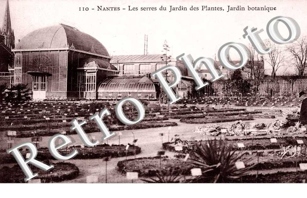 SERRES DU JARDIN
 DES PLANTES
