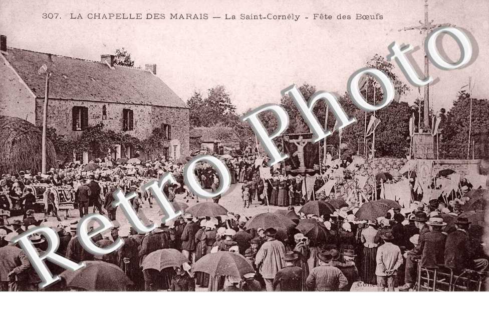 ST CORNELY - FETE DES BOEUFS