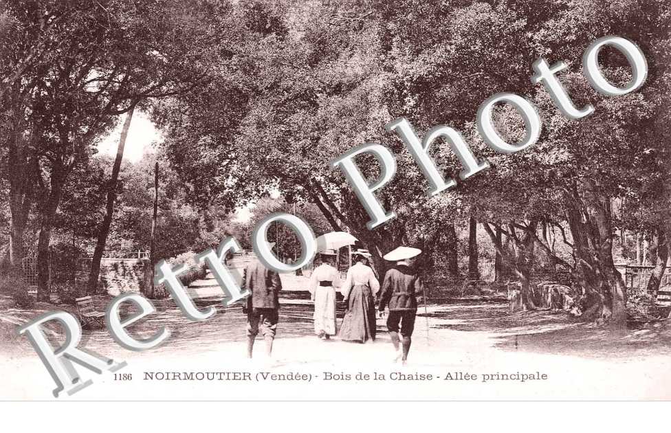 Le Bois de la Chaise Allee principale