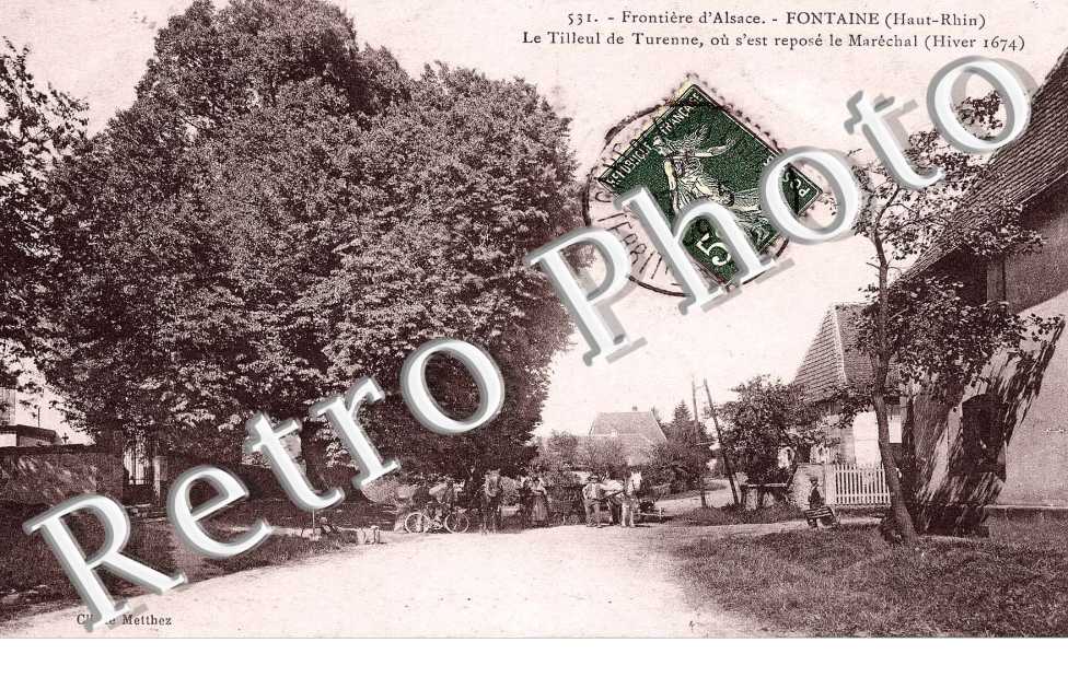 Tilleul de Turenne