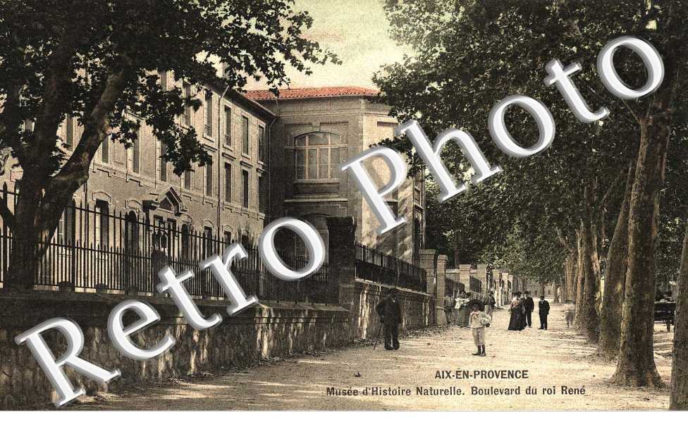 Musee d'Histoire Naturelle, Boulevard du Roi Renee