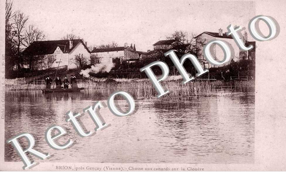 Brion, pres Gencay - Chasse aux Canards sur la Clouere