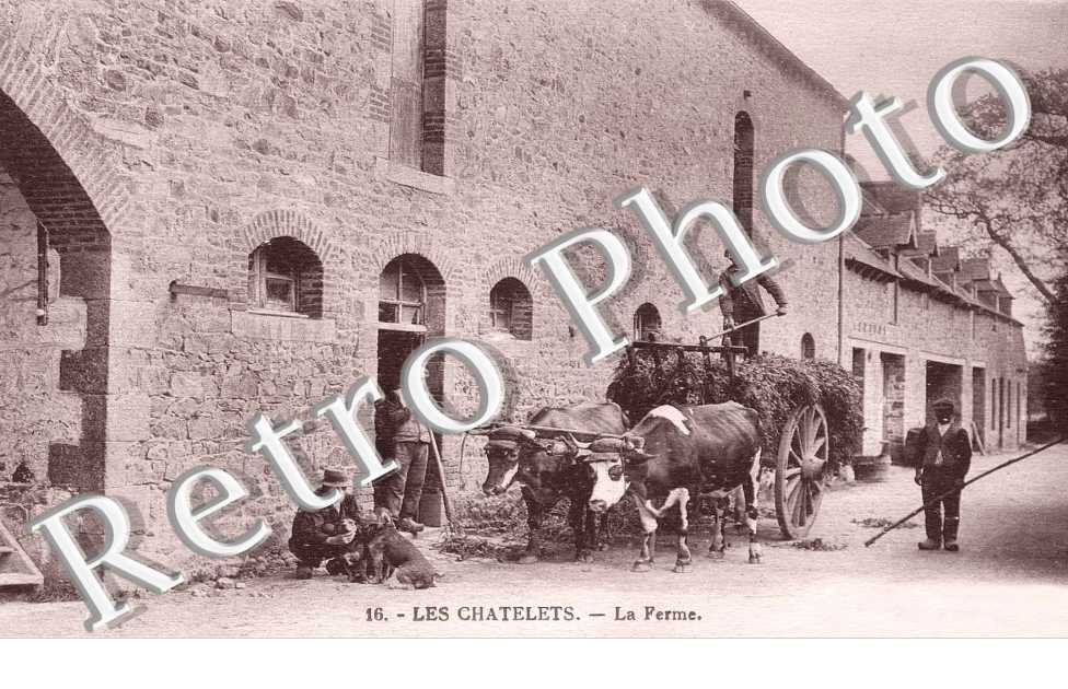 LA FERME