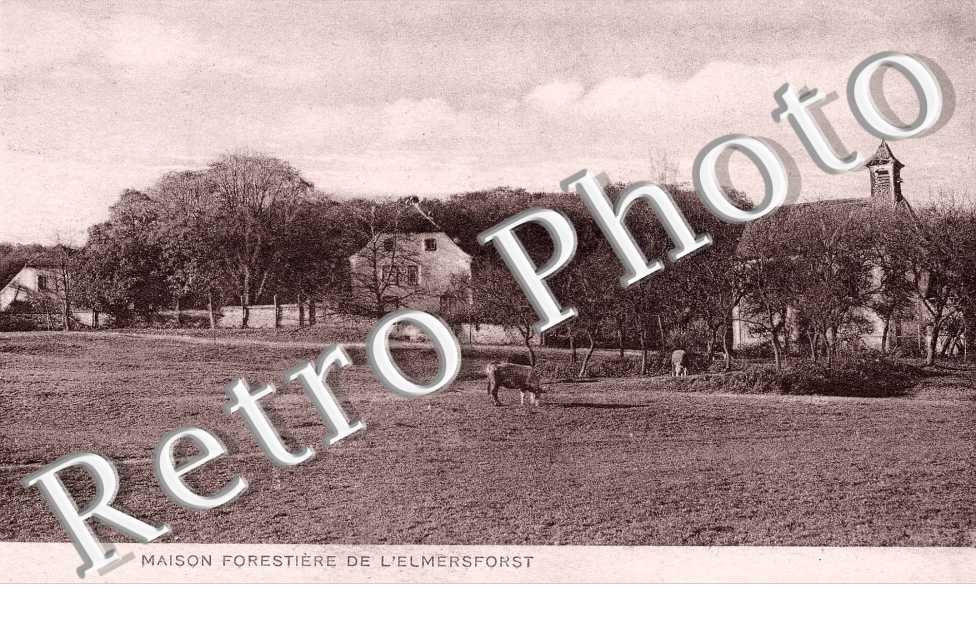 Maison forestiere de l&#039;Elmersforst