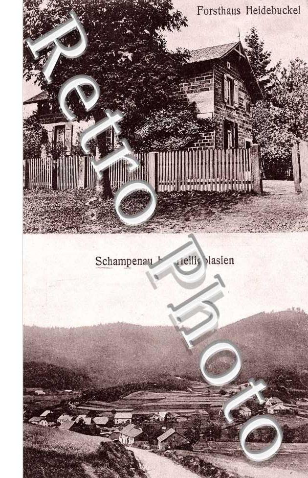 Forsthaus heidebuckel - Schampenau bei heilligblasien