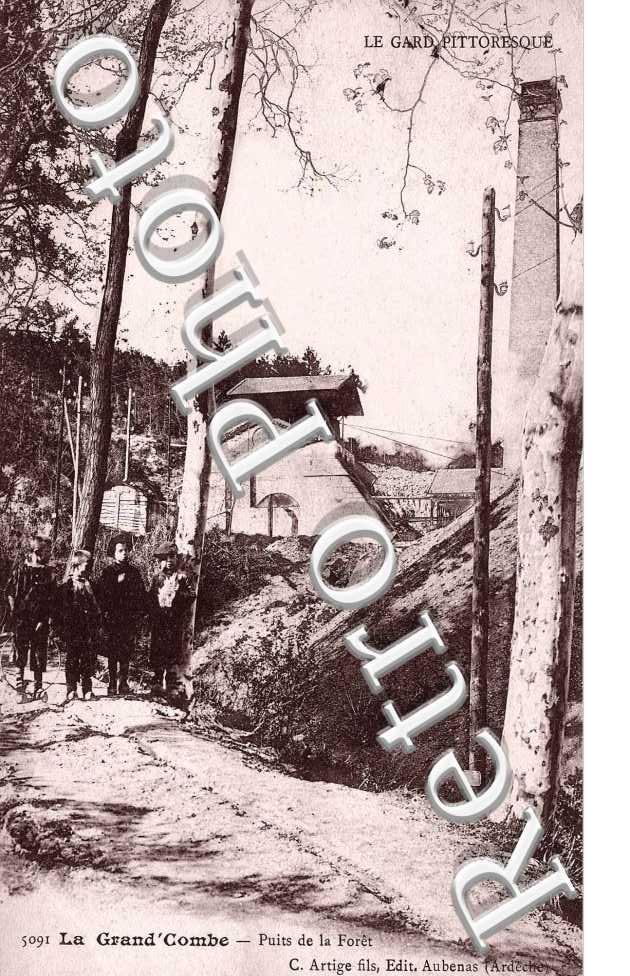 Puits de la foret