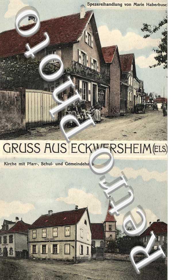 Spezereihandlung von marie haberbusch
