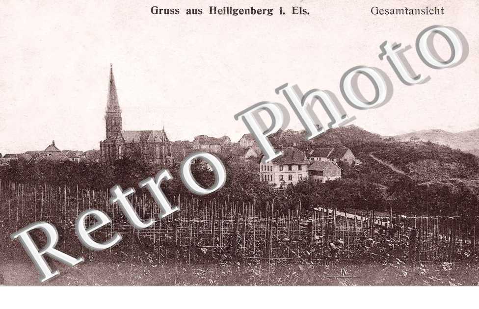 gesamtansicht