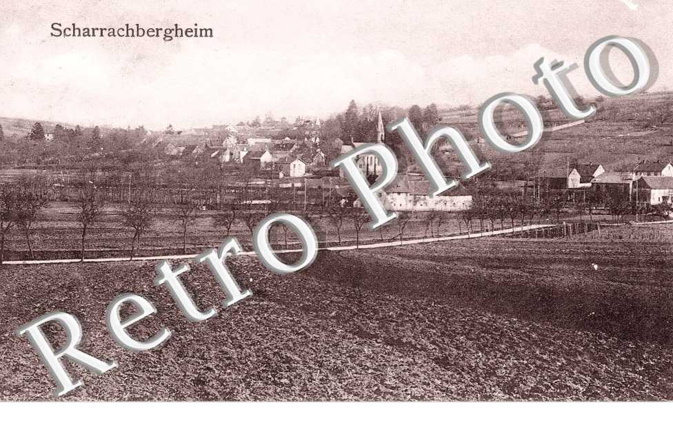 (vue generale)