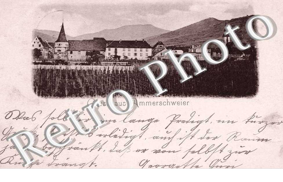 ( vue generale )