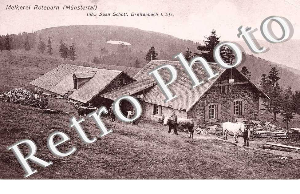 Melkerei Roteburn