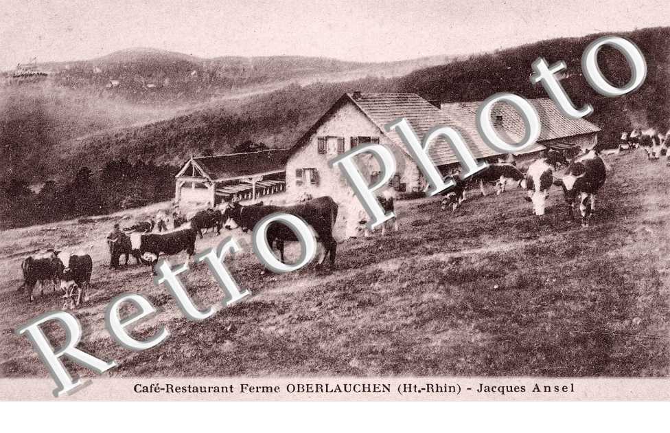 Cafe-restaurant ferme Oberlauchen - Jacques Ansel