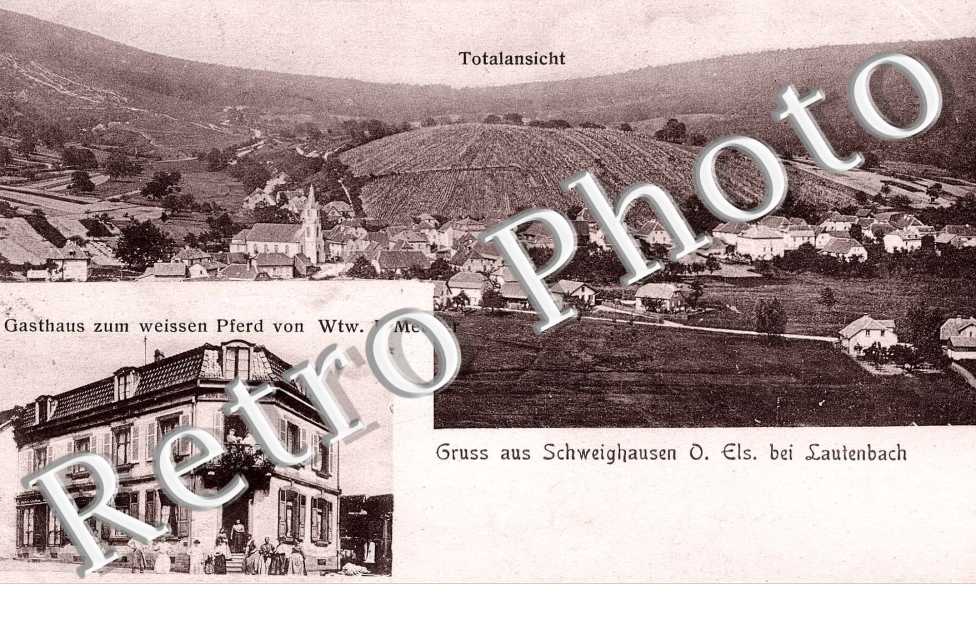 Gasthaus zum weissen Pferd von Wtw J. Metzler