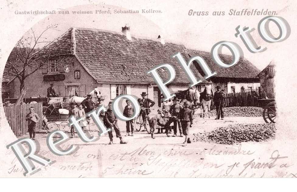 Gruss aus Staffelfelden, Gastwirthschaft zum weissen Pferd, Sebastian Kollros