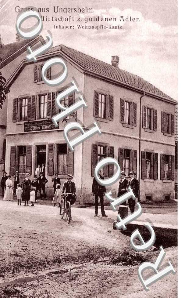 Wirtschaft z. goldenen Adler