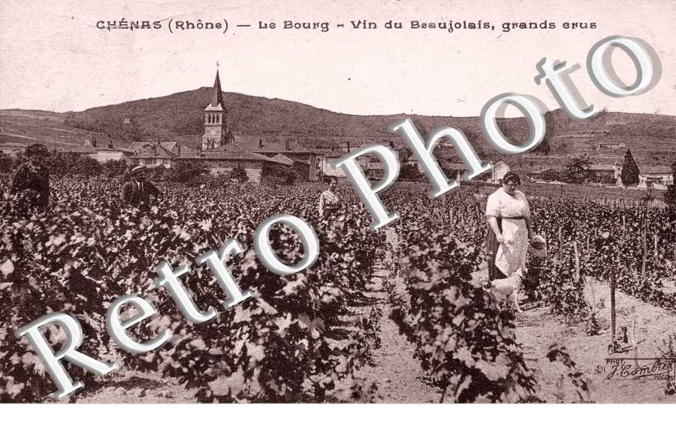 le bourg, vin du beaujolais, grands crus