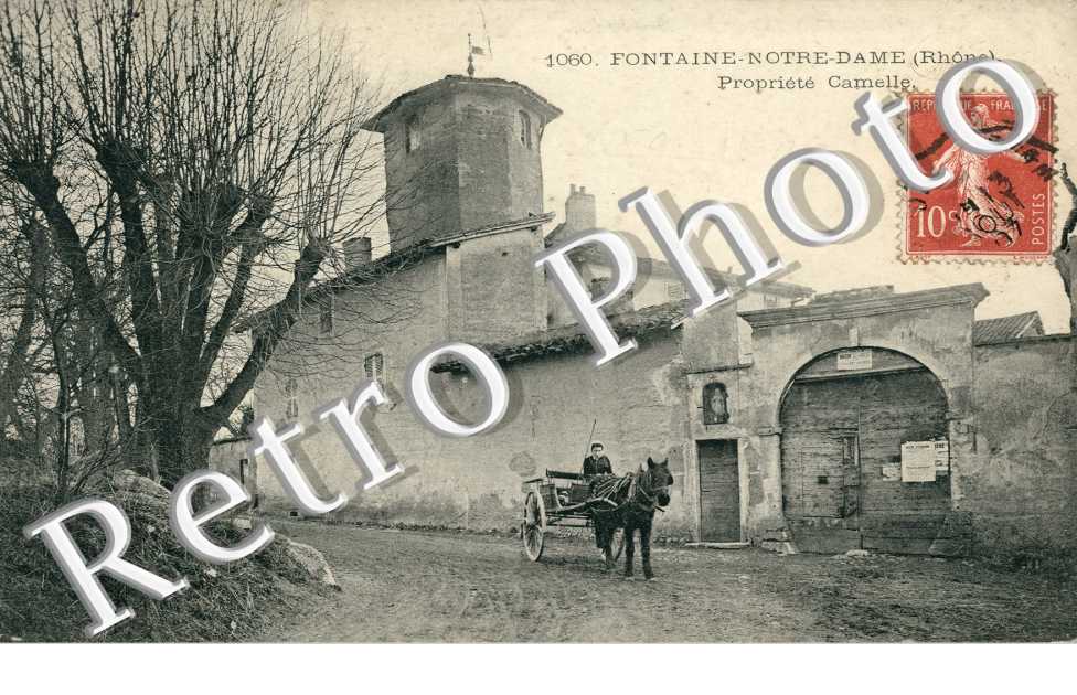 Propriete Camelle