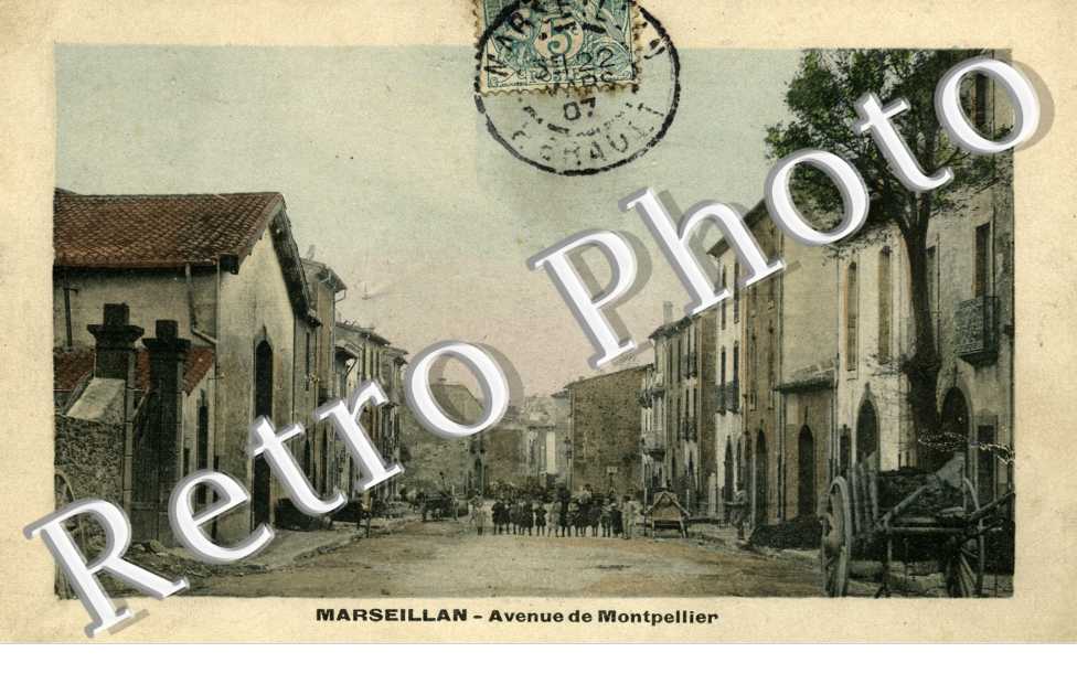 AVENUE DE MONTPELLIER