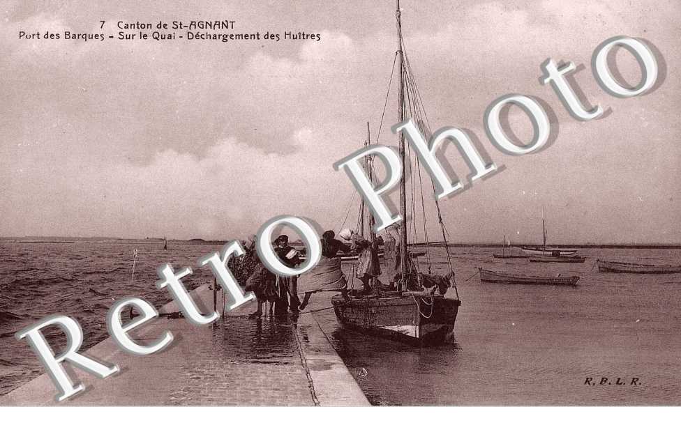 canton de saint agnant - sur le quai - dechargement des huitres